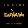 Diosa De Barrio - Single (feat. Franklin Dam) - Single