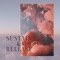 Above the Skies (STURM Remix) - Lucid Grain lyrics