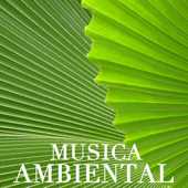 Música Ambiental - Musica Ambiental Clube