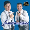 Indestructibles