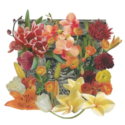 Wall of Flowers - Mike Watt