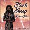 Black Sheep - Single