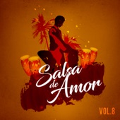 Salsa De Amor, Vol. 8 artwork