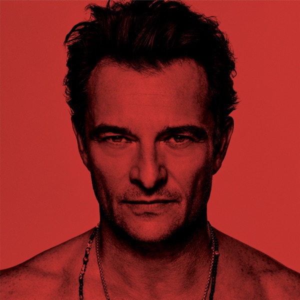 J'ai quelque chose à vous dire - David Hallyday