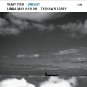Vijay Iyer - Drummer’s Song