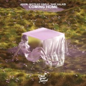 Coming Home artwork