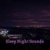 Sleep Night Sounds artwork