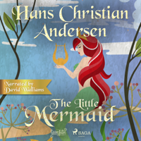 Hans Christian Andersen - The Little Mermaid artwork