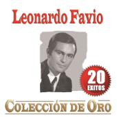 Fuiste Mía Un Verano - Leonardo Favio