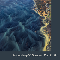 Lycoriscoris - Anjunadeep 10 Sampler: Part 2 artwork