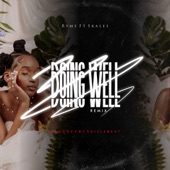 Doing Well Remix (feat. Skales) artwork