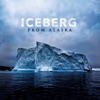 Iceberg, 2018