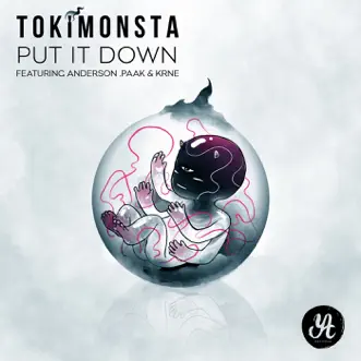 Put It Down (feat. Anderson .Paak & KRANE) by TOKiMONSTA song reviws