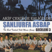 Arif Çekirge Eşliğinde Şanlıurfa Asbap Geceleri, Vol. 3 - Akif Çekirge