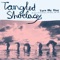 S.E.P. - Tangled Shoelaces lyrics