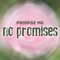 No Promises (Radio Edit) - The Cameron Collective lyrics