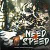 NeedNoName - Needle in Haystack