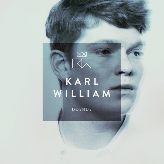 Cover artwork for Skinner