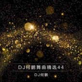 站在草原望北京(DJ Version) artwork