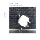 Robert Plant Blunt Woodroffe - Big Log