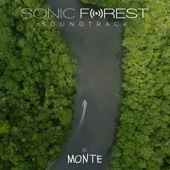 Sonic Forest (Déjame Respirar) artwork