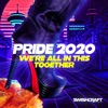Swishcraft Pride 2020 - We're All in This Together, 2020