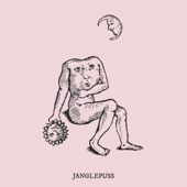 The Shilohs - Janglepuss