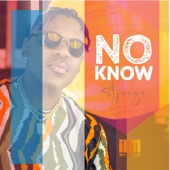 No Know artwork