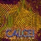 Energy (feat. SelfSays & Intricate Dialect) - Calcei lyrics