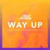 Way Up (feat. CASS & Sajan Nauriyal) - Single album lyrics, reviews, download