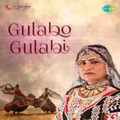 Gulabo Gulabi - Various Artists