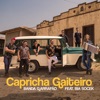 Capricha Gaiteiro (feat. Bia Socek) - Single