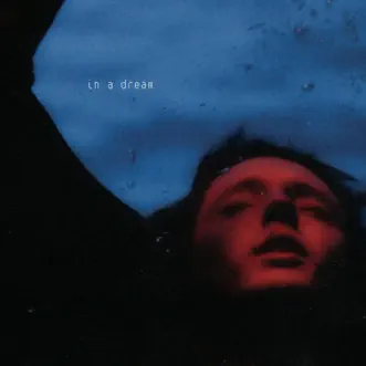 In A Dream (2020) - EP by Troye Sivan album reviews, ratings, credits