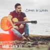 Comes in Waves - Single