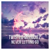 Never Letting Go - Single