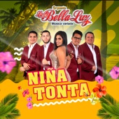 Niña Tonta artwork