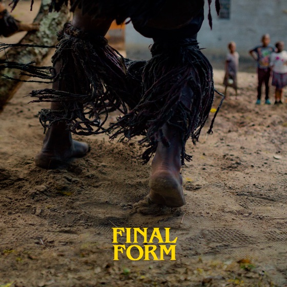 Cover artwork for Final Form