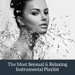 The Most Sensual & Relaxing Instrumental Playlist by Various Artists album reviews, ratings, credits