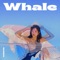 Whale - KIMSEJEONG lyrics