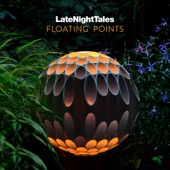 Floating Points - Sea Fluorescent