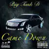 Came Down - Single album lyrics, reviews, download