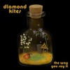 The Way You Say It - Single