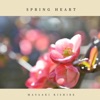 Spring Heart - Single