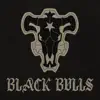 Stream & download Black Bulls (feat. Shwabadi, Connor Quest!, None Like Joshua, FrivolousShara, Shao Dow, Halacg, GameboyJones, Zach Boucher, Gr3ys0n, Chi-Chi, Thighhighsenpai & Daddyphatsnaps)