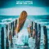 Never Too Late - Single album lyrics, reviews, download