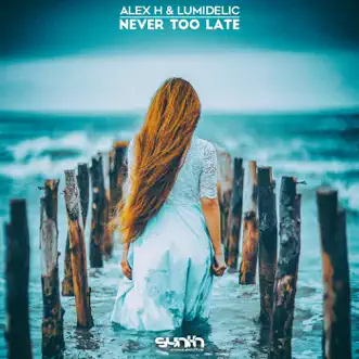 Never Too Late by Alex H. & Lumidelic song reviws