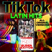 Tiktok Latin Hits (20 Super Éxitos Latinos de Tik Tok) artwork