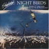 Night Birds