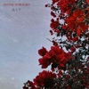 Divine Nobodies - EP