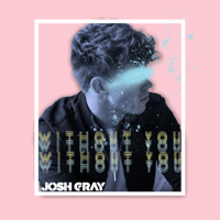 Josh Gray - Without You artwork